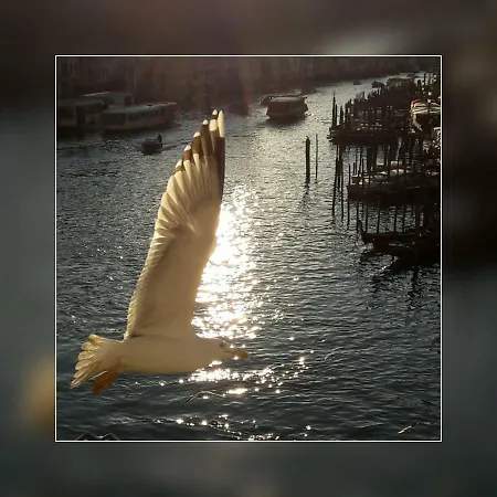 דירה Mare E Laguna לידו די ג'סולו