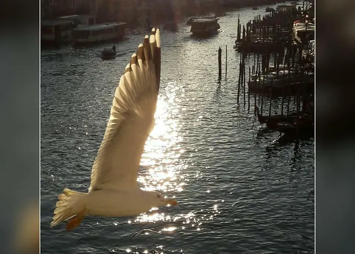 Διαμέρισμα Mare E Laguna Τζεσόλο Λίντο